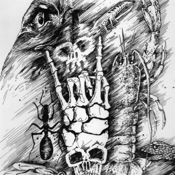 Zeichnungen mit dem Titel "Lobskull" von Clément Magret (Klem), Original-Kunstwerk, Tinte