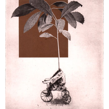 Prenten & gravures getiteld "The Avocado" door Clement Scarpi, Origineel Kunstwerk, Gravure