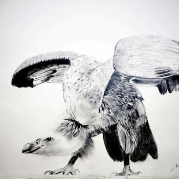Drawing titled "The Hawk" by Clement Tsang, Original Artwork, Charcoal