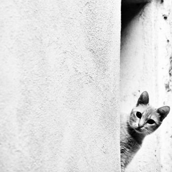 "Mais que se passe t…" başlıklı Fotoğraf Clémentine Palud tarafından, Orijinal sanat