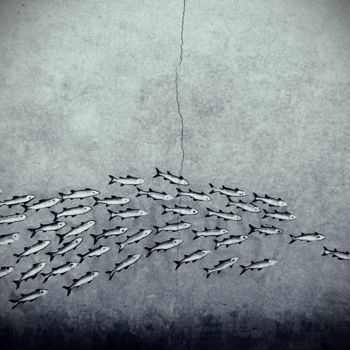 Photographie intitulée "Le banc de poissons" par Clémentine Palud, Œuvre d'art originale