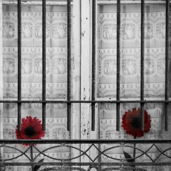 Photography titled "Jardin de fenêtre" by Clémentine Palud, Original Artwork