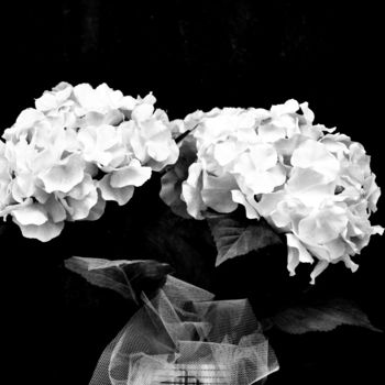 Photography titled "Hortensia" by Clémentine Palud, Original Artwork