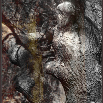 Fotografia intitulada "La-vie-des-arbres" por Chupalia, Obras de arte originais, Fotografia digital