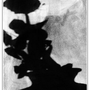 Photographie intitulée "L'ombre de la rose" par Chupalia, Œuvre d'art originale, Photographie non manipulée
