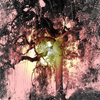 Fotografie getiteld "L'esprit_de_l'arbre" door Chupalia, Origineel Kunstwerk, Digitale fotografie