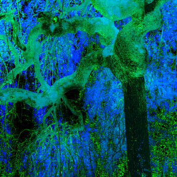 Fotografia intitulada "Variations en bleu" por Chupalia, Obras de arte originais, Fotografia digital