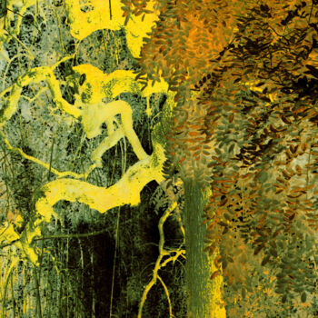 Фотография под названием "L'esprit de l'arbre…" - Chupalia, Подлинное произведение искусства, Цифровая фотография