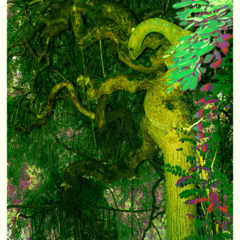 Photography titled "L'esprit-de-l'arbre…" by Chupalia, Original Artwork, Digital Photography Mounted on Wood Stretcher frame