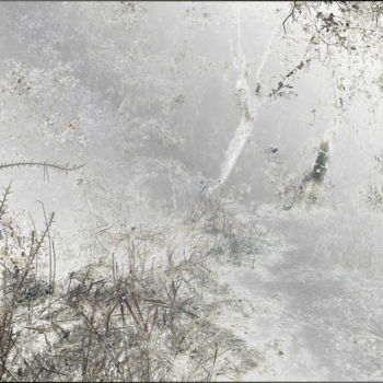 Fotografía titulada "De neige-et-de-givr…" por Chupalia, Obra de arte original
