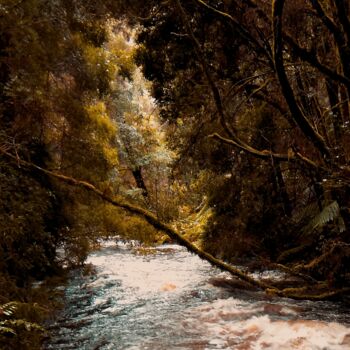 "River adventure" başlıklı Fotoğraf Colin Jones tarafından, Orijinal sanat, Dijital Fotoğrafçılık
