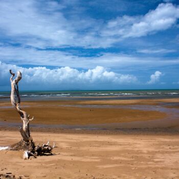 Фотография под названием "Sentinel at low tide" - Colin Jones, Подлинное произведение искусства, Цифровая фотография