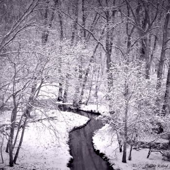 "Hiver.jpg" başlıklı Fotoğraf Coline Kiéné tarafından, Orijinal sanat