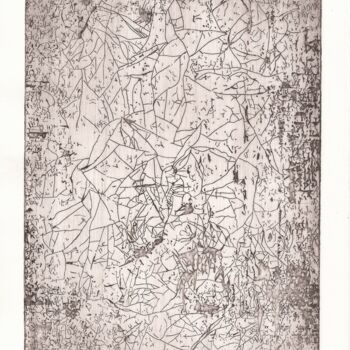 Отпечатки и Гравюры под названием "Tissage détail 1.1.3" - Colline Henry, Подлинное произведение искусства, Травление
