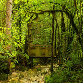 Fotografia intitulada "Green Gateway, (la…" por Ludovic Vincent, Obras de arte originais, Fotografia digital