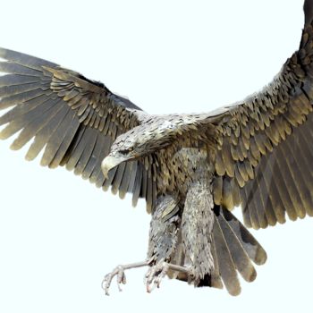 Escultura titulada "Golden eagle" por Constantin Hadîrcă, Obra de arte original, Metales