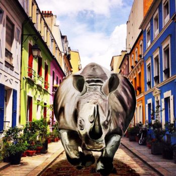 Arts numériques intitulée "Rhino rue Cremieux" par Cham'S, Œuvre d'art originale, Peinture numérique
