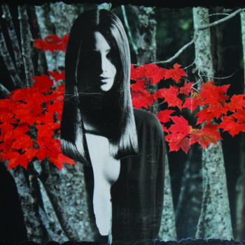 Collages titulada "I bend but do not b…" por Corinne Of The Wood, Obra de arte original