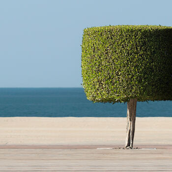 Photographie intitulée "L'arbre" par Corpron, Œuvre d'art originale, Photographie numérique