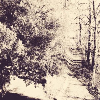 Fotografie mit dem Titel "Éclat d ' hiver" von Coyote Shah, Original-Kunstwerk