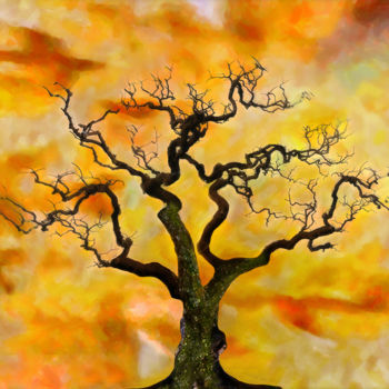 Arts numériques intitulée "Bushfire" par Poul Erik Christensen, Œuvre d'art originale, Peinture numérique Monté sur Autre pa…