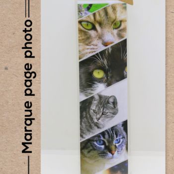 Fotografia intitulada "Les chats en pèle m…" por Christelle Prieur, Obras de arte originais, Fotografia digital