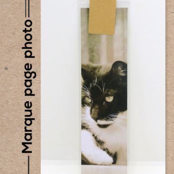 Fotografia intitulada "Le chat noir et bla…" por Christelle Prieur, Obras de arte originais, Fotografia digital