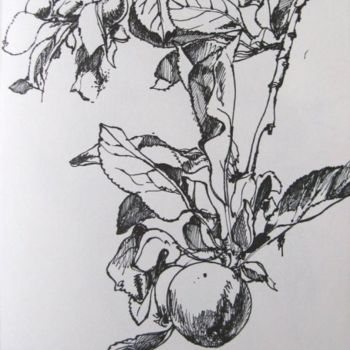 Drawing titled "Apple Tree Branch" by Jefferson Zipp, Original Artwork