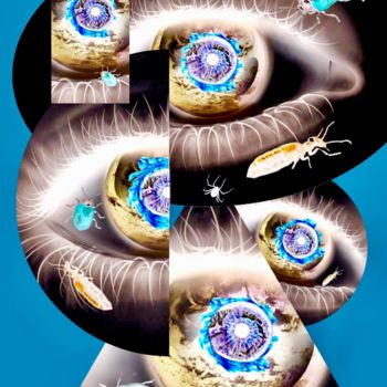 Digital Arts titled "oeil-insectes.jpg" by Analilou Bc, Original Artwork, Collages