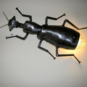 Scultura intitolato "insecte" da Pab, Opera d'arte originale