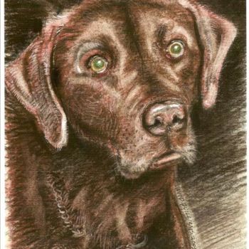 绘画 标题为“dog 1” 由David Quilliams, 原创艺术品