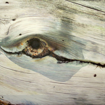 Malarstwo zatytułowany „Occhio di legno - o…” autorstwa Alessandro Crini, Oryginalna praca