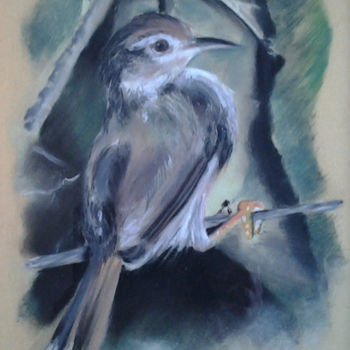 Rysunek zatytułowany „oiseau.jpg” autorstwa Cristelle Ryba Isoard, Oryginalna praca