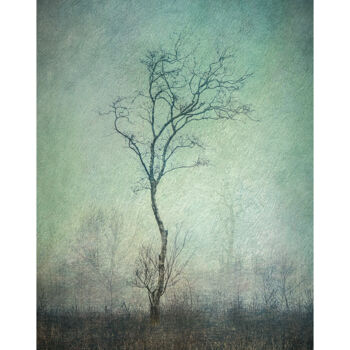 Digital Arts titled "Lonely Tree" by Csaba Deak, Original Artwork, 2D Digital Work