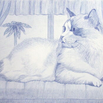 Painting titled "Blue cat - Gato azul" by Cybele Chaves, Original Artwork, Pencil