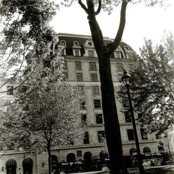 Photography titled "L'Hôtel Windsor vu…" by Ronald Stewart, Original Artwork