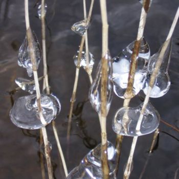 Photography titled "Ice Drops" by Cynthia Brown Yackenchick, Original Artwork