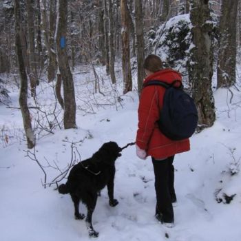 Photography titled "Walking the Dog" by Cynthia Brown Yackenchick, Original Artwork