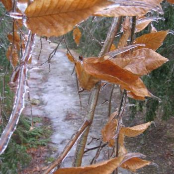 Photography titled "Icy Hike" by Cynthia Brown Yackenchick, Original Artwork