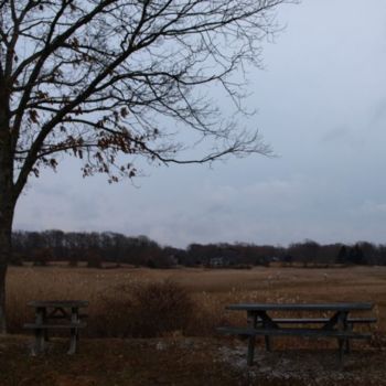 Photography titled "Picnic Table View" by Cynthia Brown Yackenchick, Original Artwork