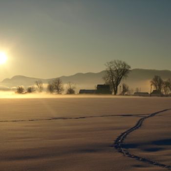 Fotografie getiteld "Tracks in the Snow" door Cynthia Brown Yackenchick, Origineel Kunstwerk