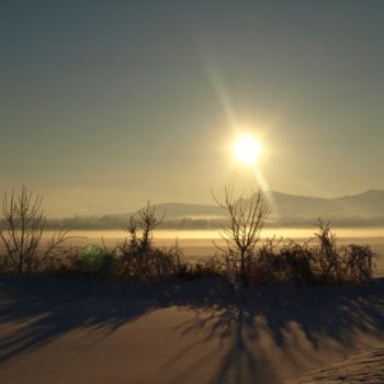 Fotografia intitolato "Morning Star" da Cynthia Brown Yackenchick, Opera d'arte originale