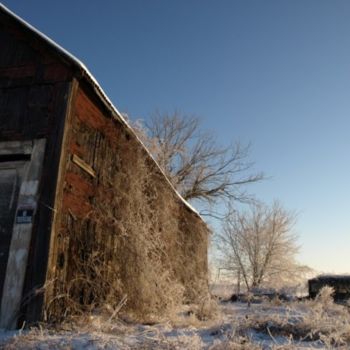 Photographie intitulée "The Barn" par Cynthia Brown Yackenchick, Œuvre d'art originale