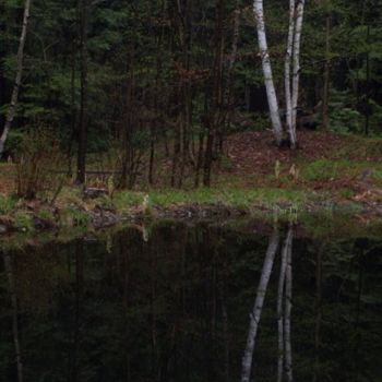 Фотография под названием "Reflecting" - Cynthia Brown Yackenchick, Подлинное произведение искусства