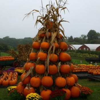 Photography titled "Tower of Pumpkins" by Cynthia Brown Yackenchick, Original Artwork