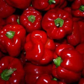 Photography titled "Red Peppers" by Cynthia Brown Yackenchick, Original Artwork