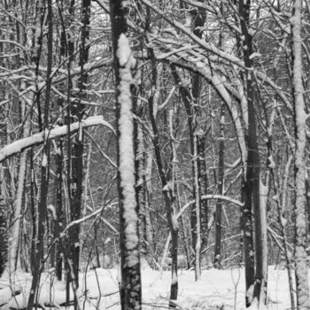 Fotografia zatytułowany „Winter” autorstwa Cynthia Brown Yackenchick, Oryginalna praca