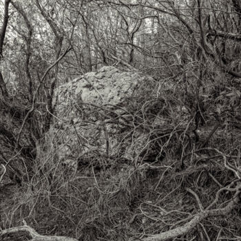 Fotografie getiteld "The Forest - 04" door Cyril Bquart, Origineel Kunstwerk, Film fotografie