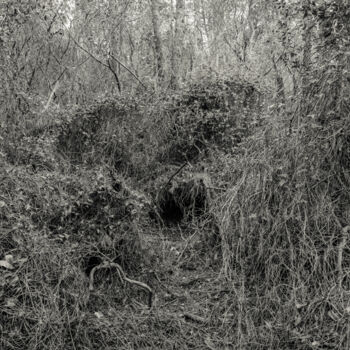 Fotografie mit dem Titel "The Forest - 05" von Cyril Bquart, Original-Kunstwerk, Analog Fotografie