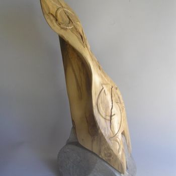 Скульптура под названием "técéra" - Cyril Annet, Подлинное произведение искусства, Мультимедиа